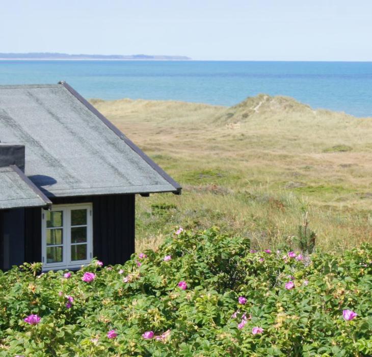 Unterkünfte In Der Jammerbucht | VisitJammerbugten | Lesen Sie Mehr